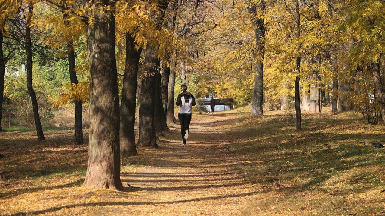 Trail Runner