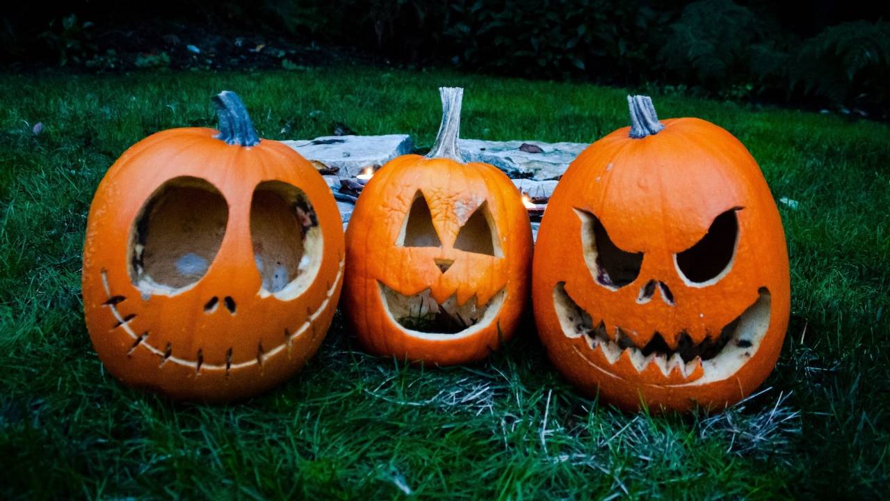 pumpkin