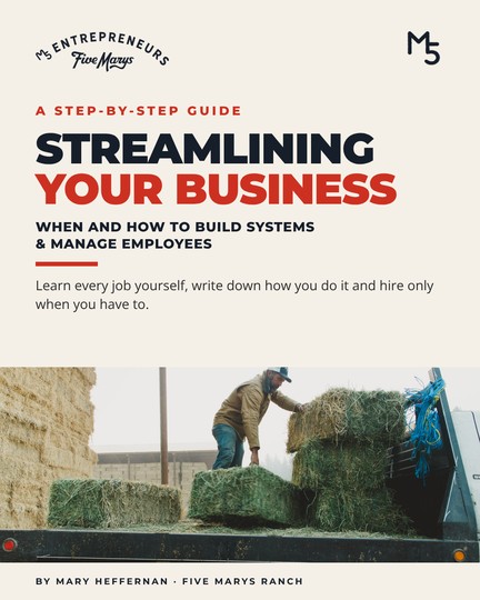 Cover of Streamlining Your Business