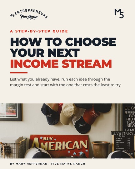 Cover of How to Choose Your Next Income Stream