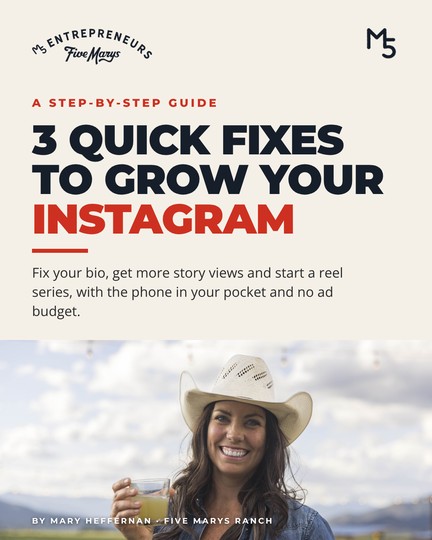 Cover of 3 Quick Fixes to Grow Your Instagram