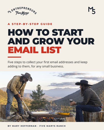 Cover of How to Start and Grow Your Email List