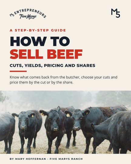 Cover of How to Sell Beef