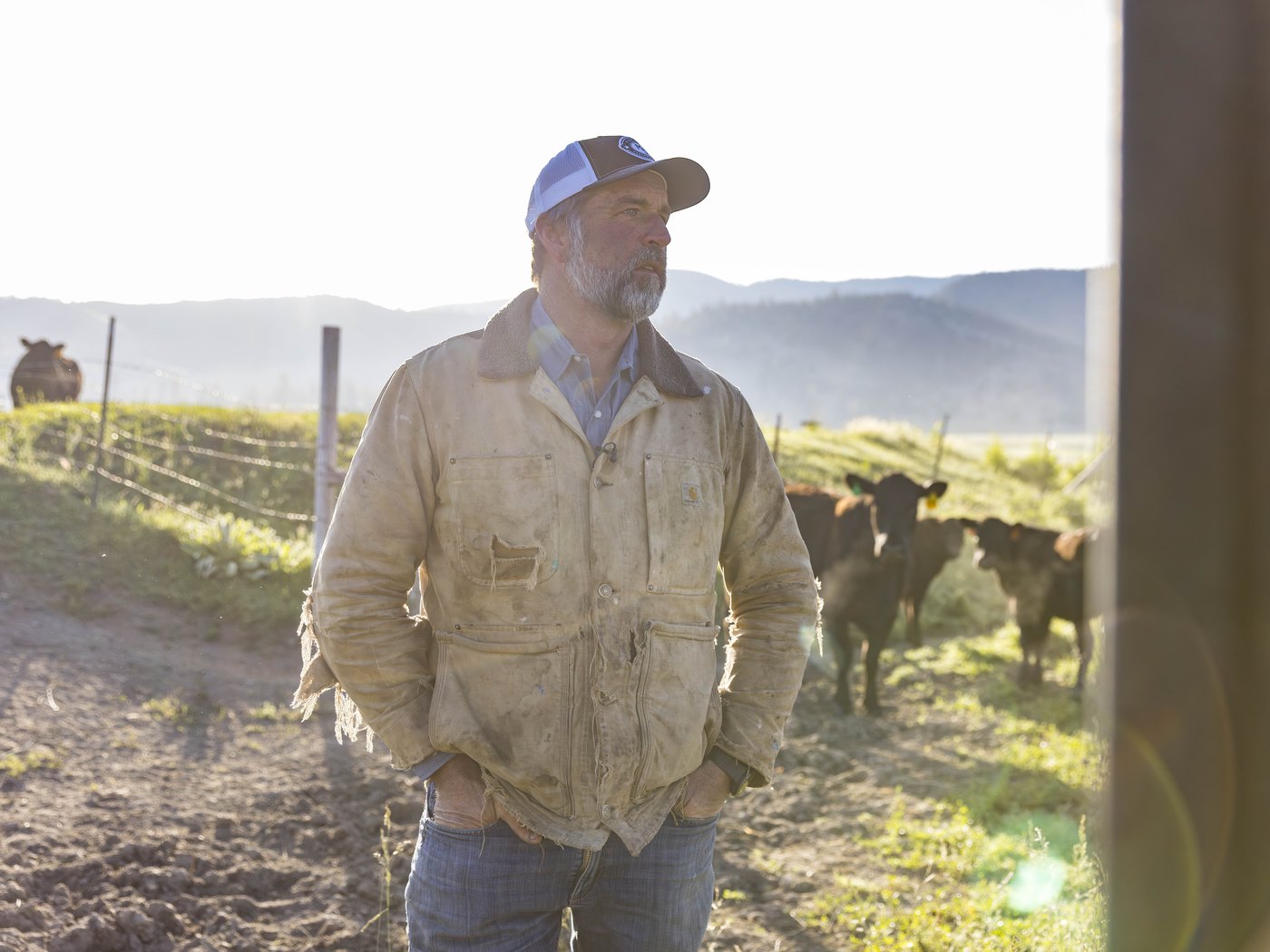 Brian Heffernan standing in a pasture with cattle behind him
