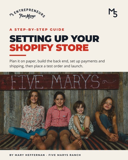 Cover of Setting Up Your Shopify Store