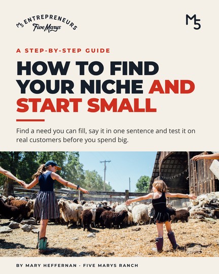 Cover of How to Find Your Niche and Start Small