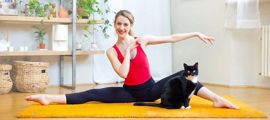 Alessia in the splits at home, with her cat