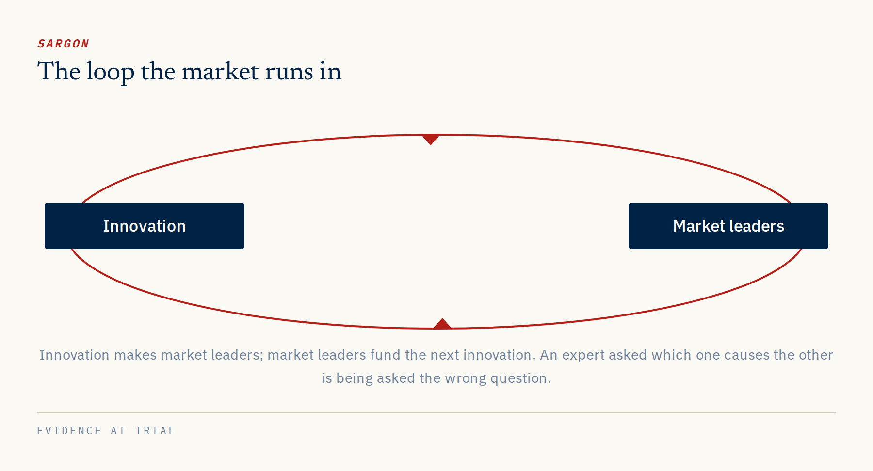 Innovation and market leaders in a loop