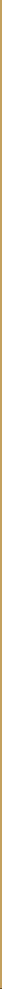 Gold vertical line