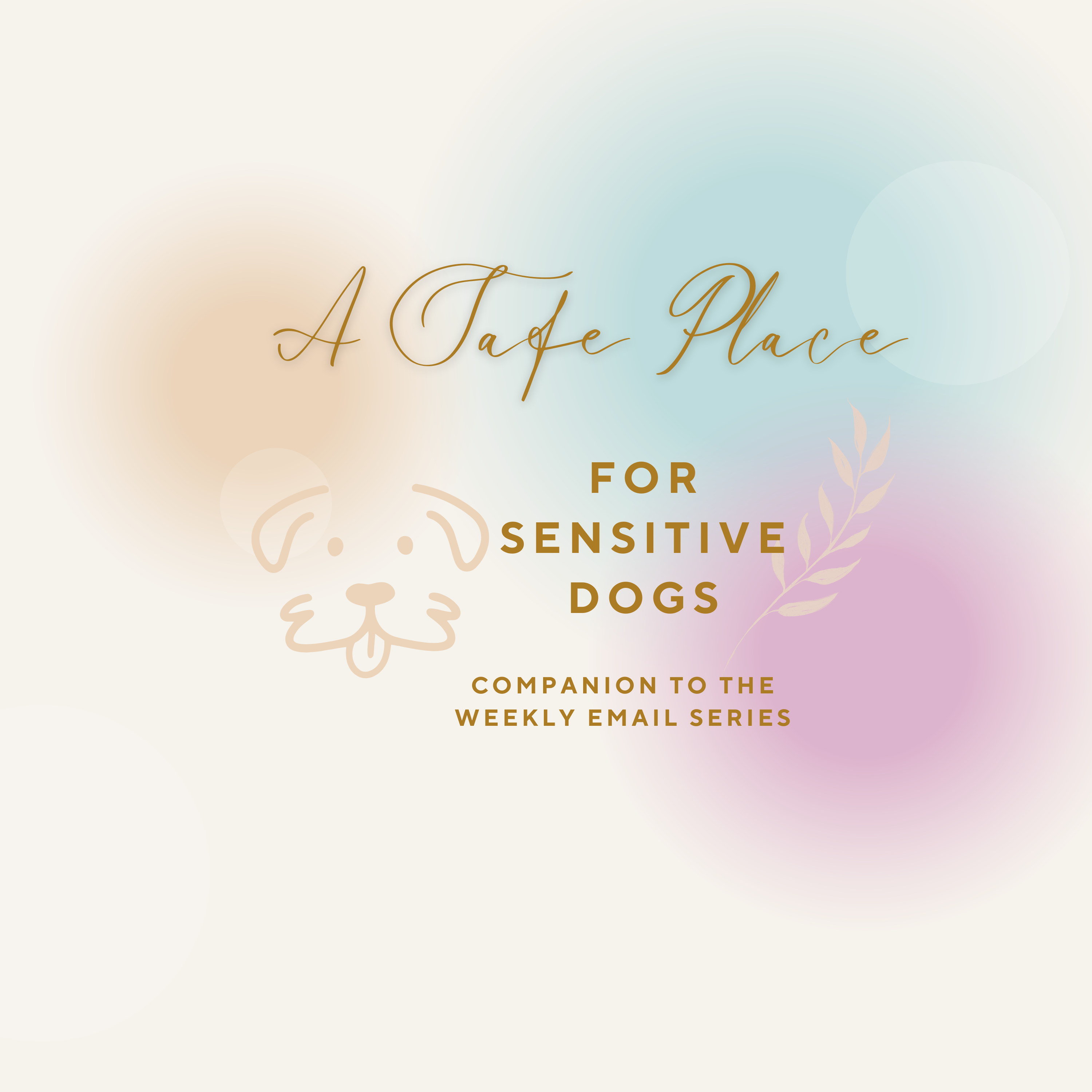 A Safe Place for Sensitive Dogs
