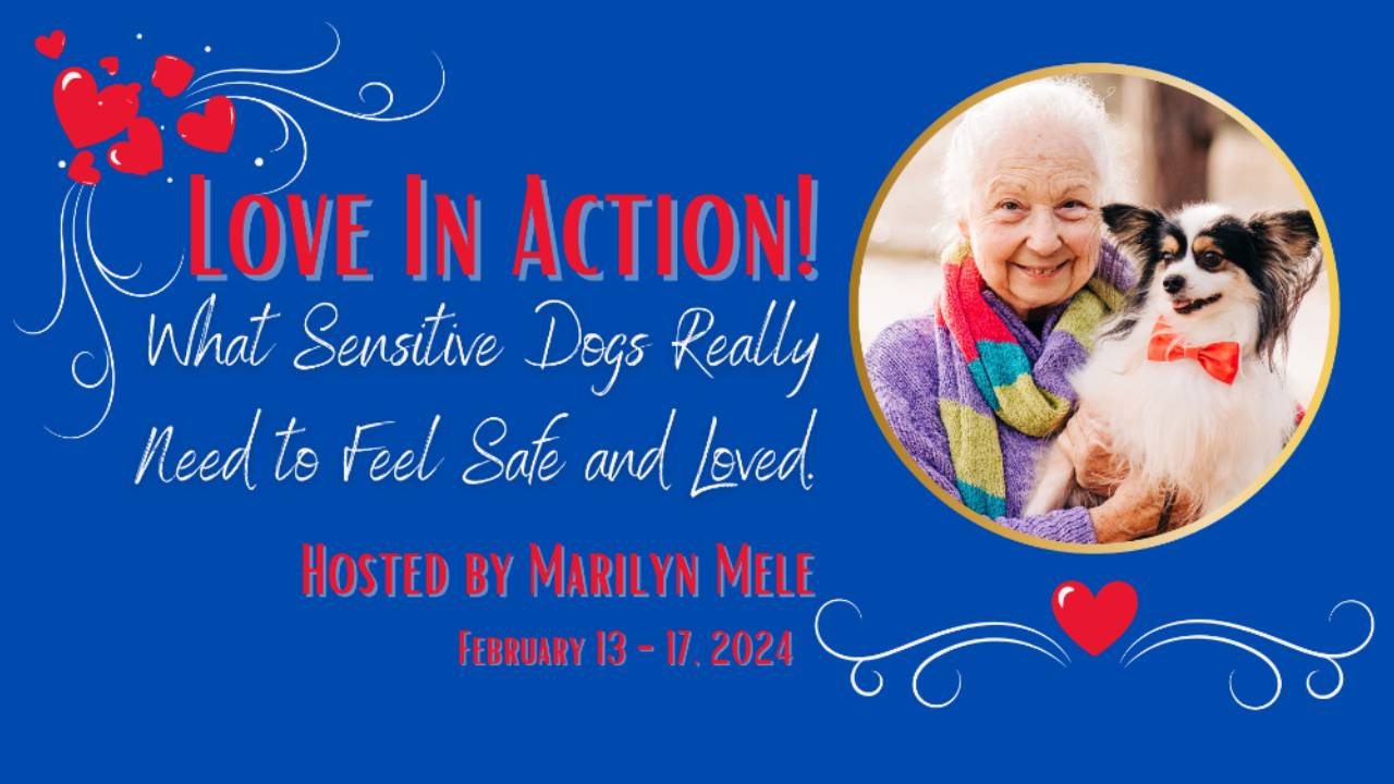 [SUMMIT] February 2024 Speaker Page 1