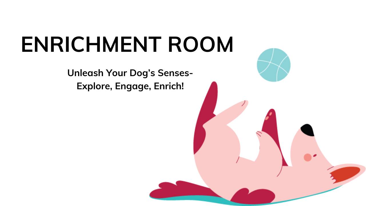 Enrichment Room enrichment-room