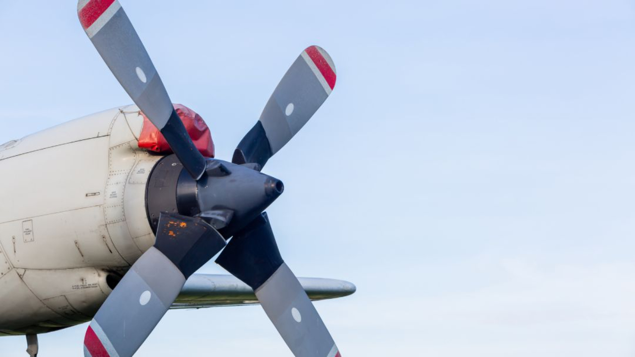 dauntless aviation test prep overview