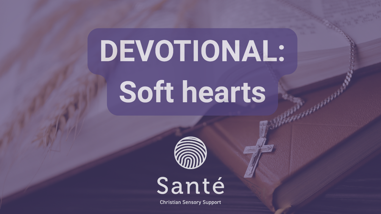 Devotional cover image with title: Soft hearts