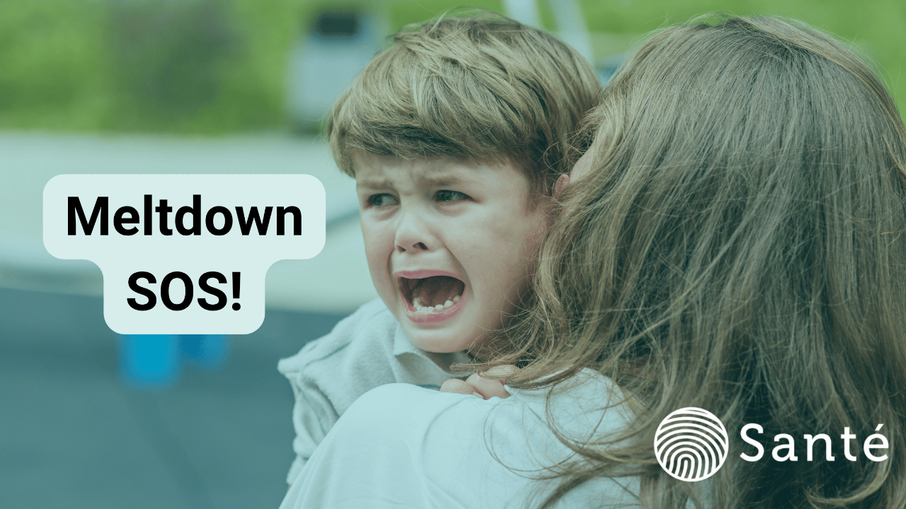 Picture of a child having a meldown