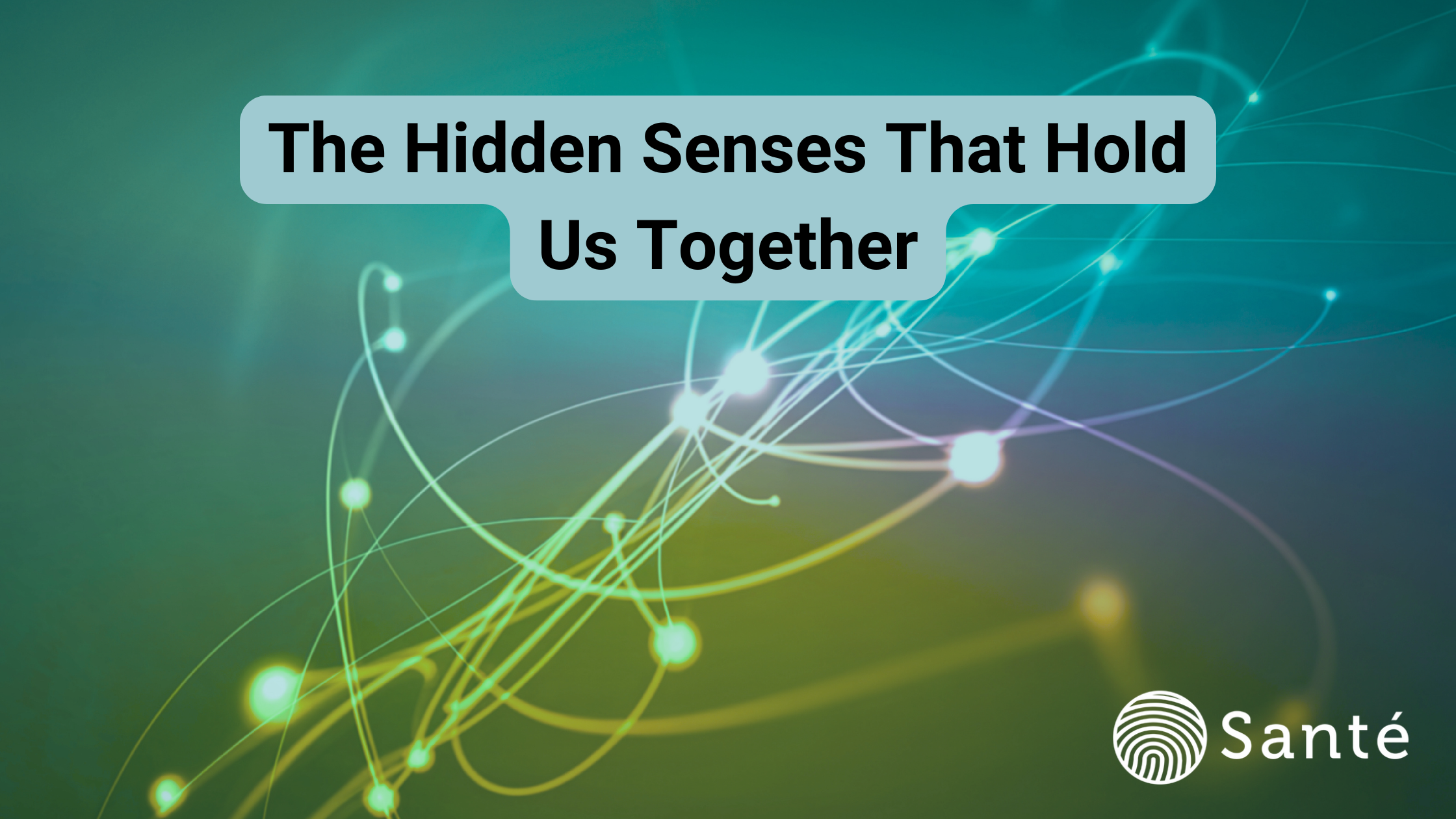 Blog cover image with title: The hidden senses that hold us together