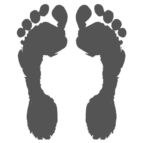 Header Logo