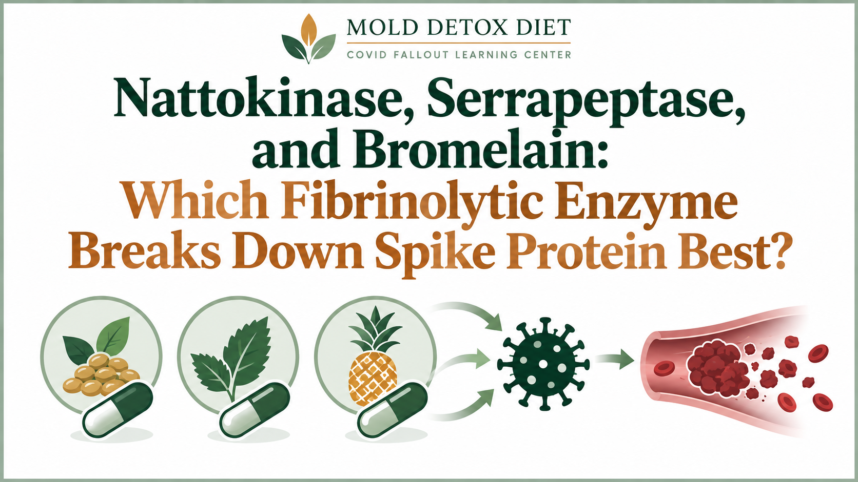 Nattokinase, Serrapeptase & Bromelain illustration