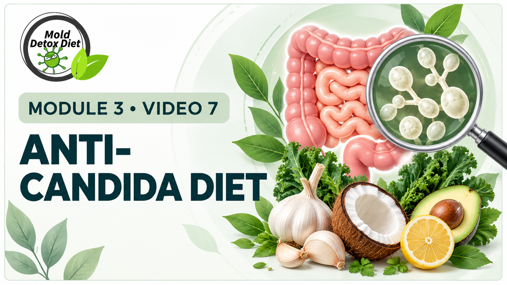 Video thumbnail: Module 3, Video 7 — Anti-Candida Diet