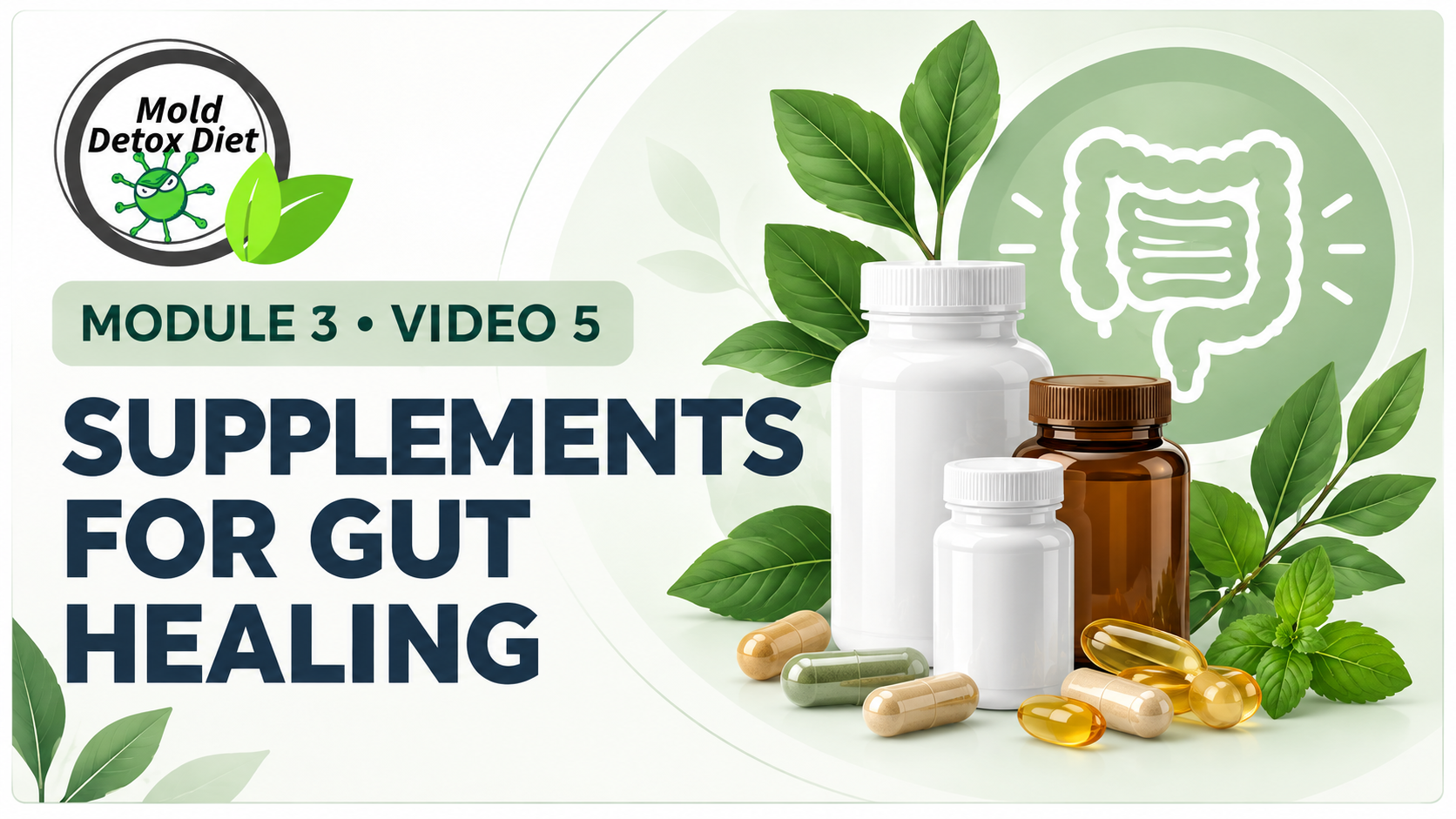 Video thumbnail: Module 3, Video 5 — Supplements for Gut Healing