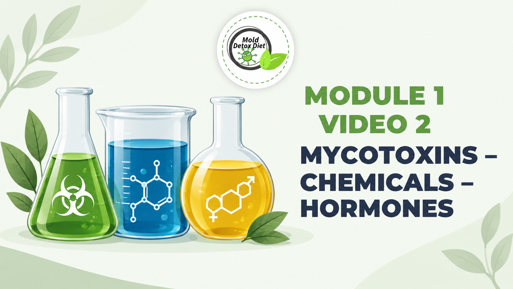 Video thumbnail: Module 1, Video 2 — Mycotoxins, Chemicals and Hormones