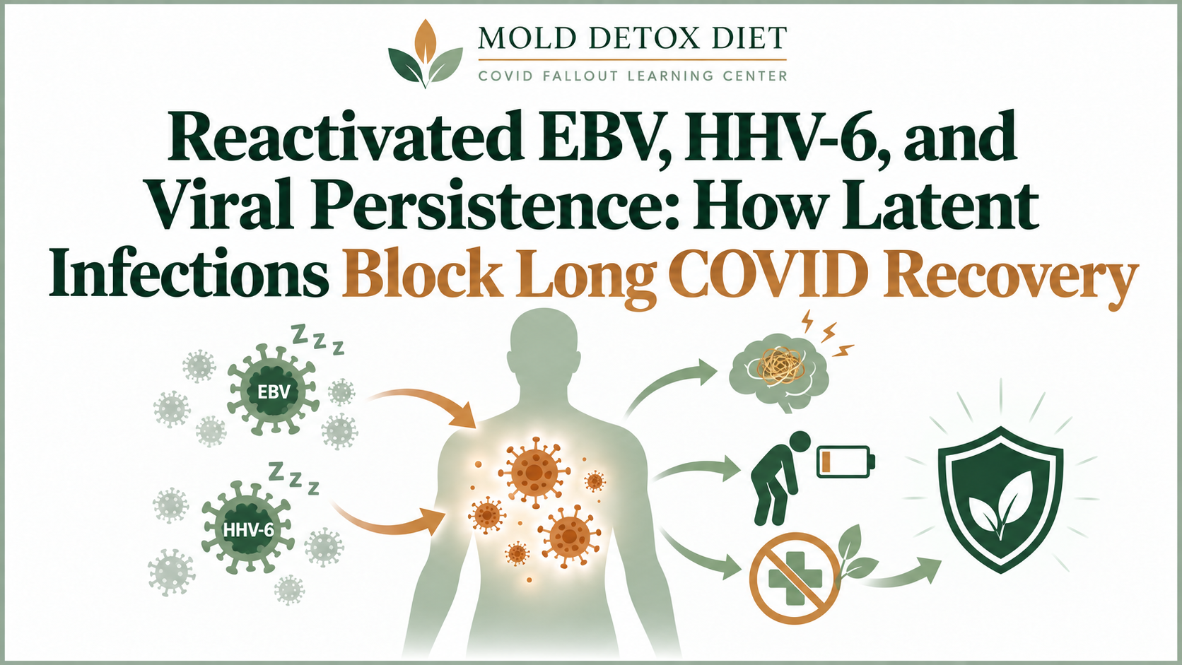 Illustration for the article on reactivated EBV, HHV-6, and viral persistence after COVID