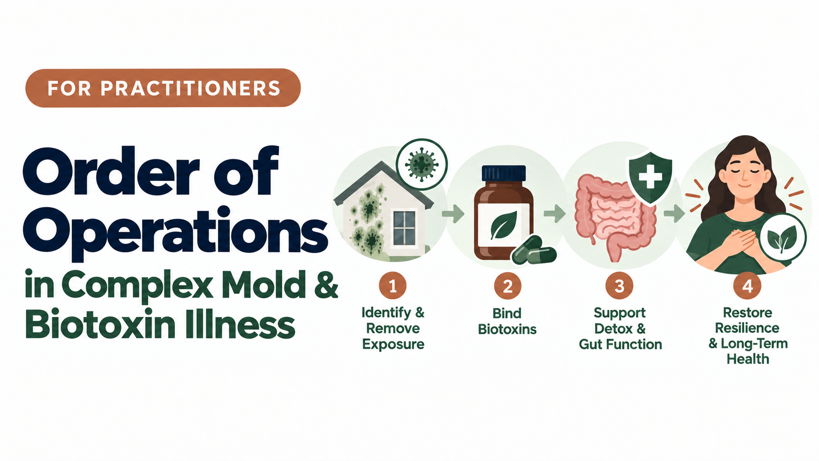 Illustration of a step-by-step treatment sequence for complex mold illness