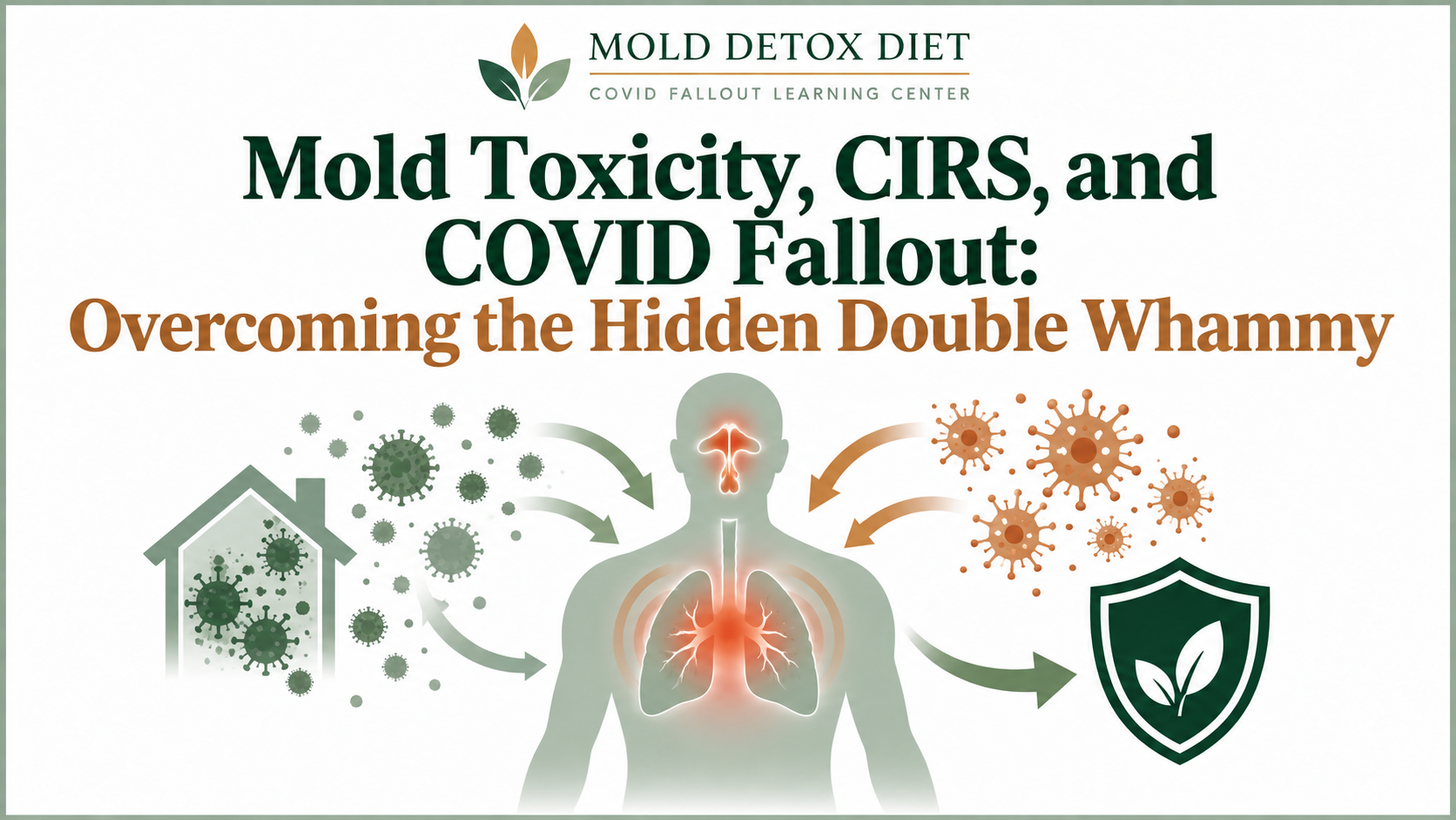 Illustration for the article on mold toxicity, CIRS, and COVID fallout