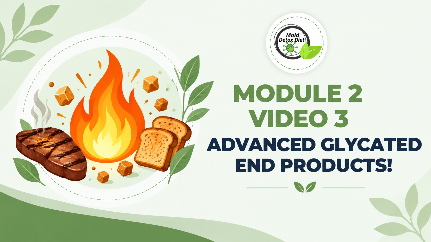 Video thumbnail: Module 2, Video 3 — Advanced Glycated End Products