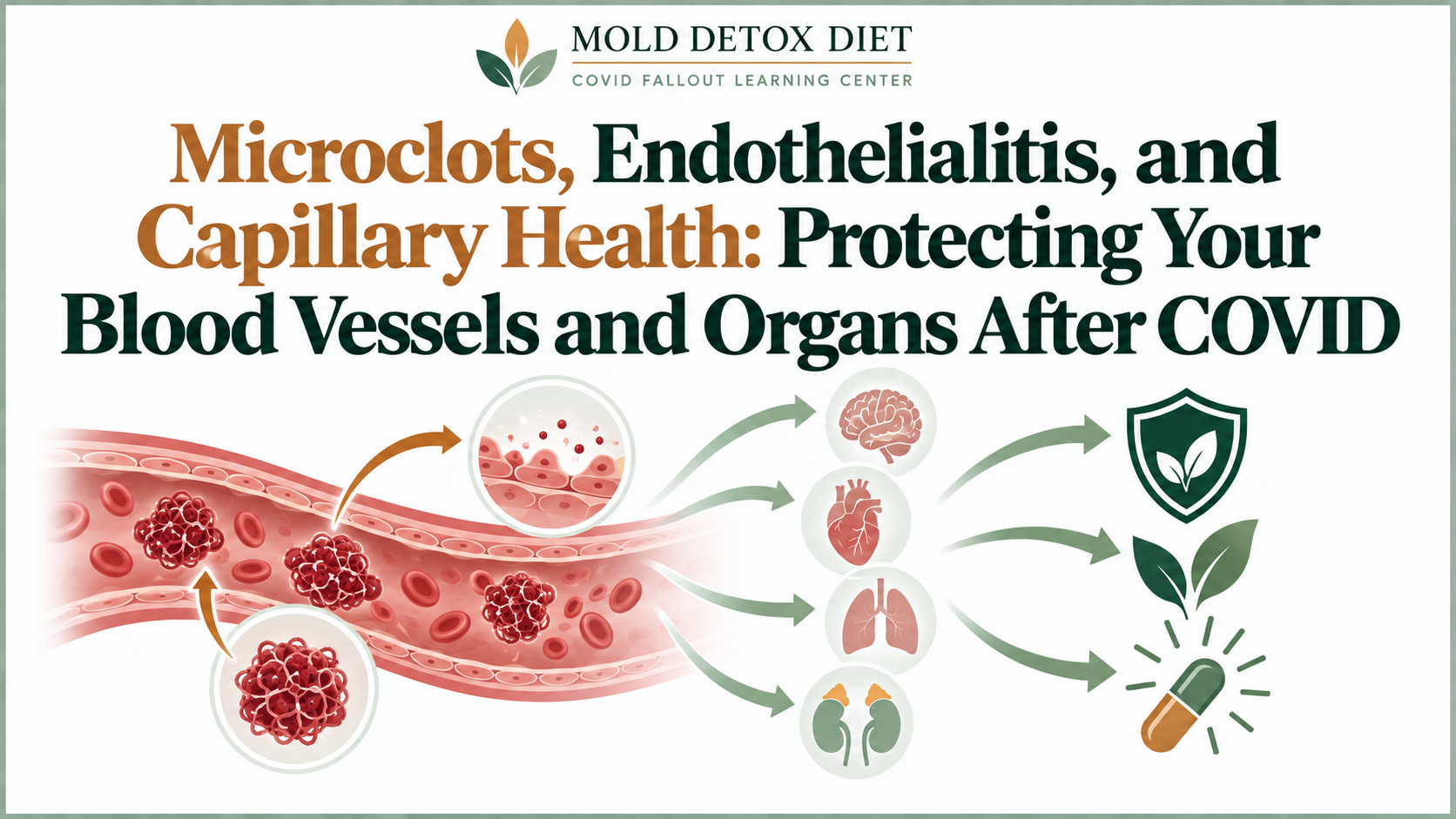 Illustration for the article on microclots, endothelialitis, and capillary health after COVID