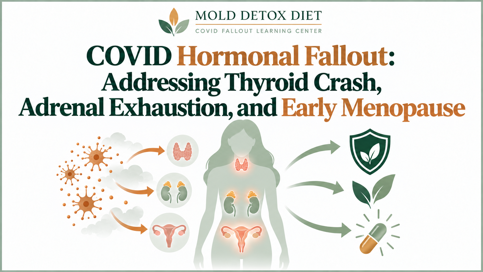 Illustration for the article on COVID hormonal fallout: thyroid crash, adrenal exhaustion, and early menopause