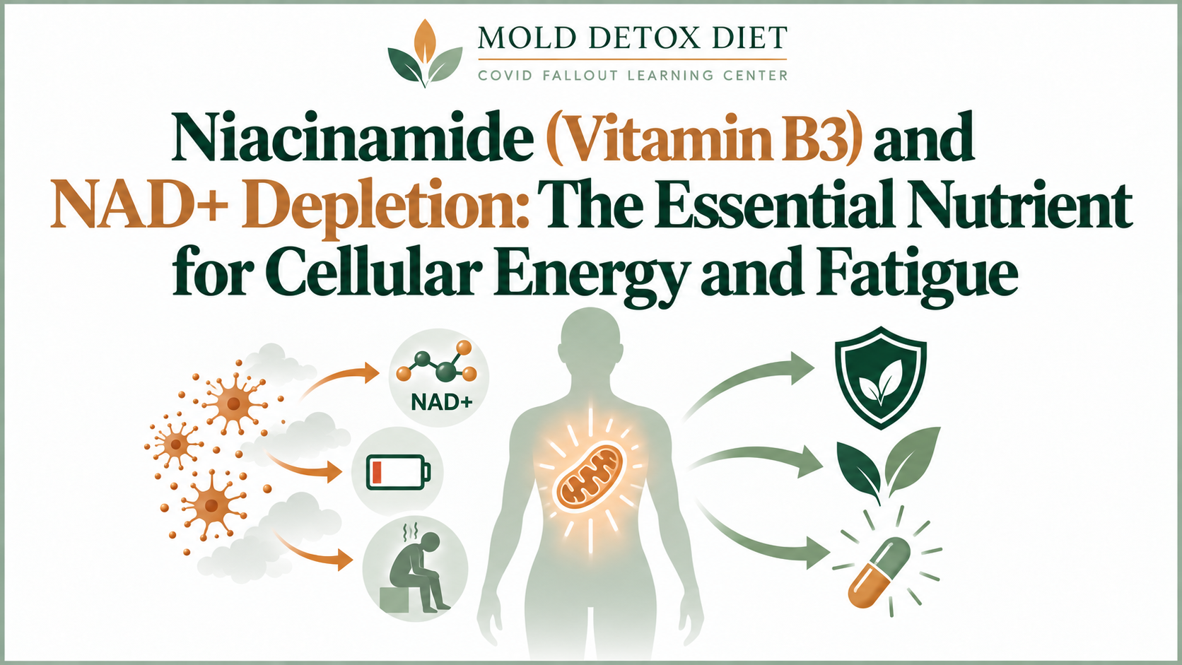 Illustration for the article on niacinamide (vitamin B3), NAD+ depletion, and cellular energy after COVID