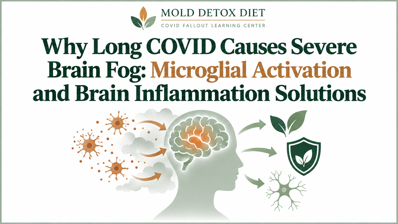 Illustration for the article on Long COVID brain fog, microglial activation, and brain inflammation