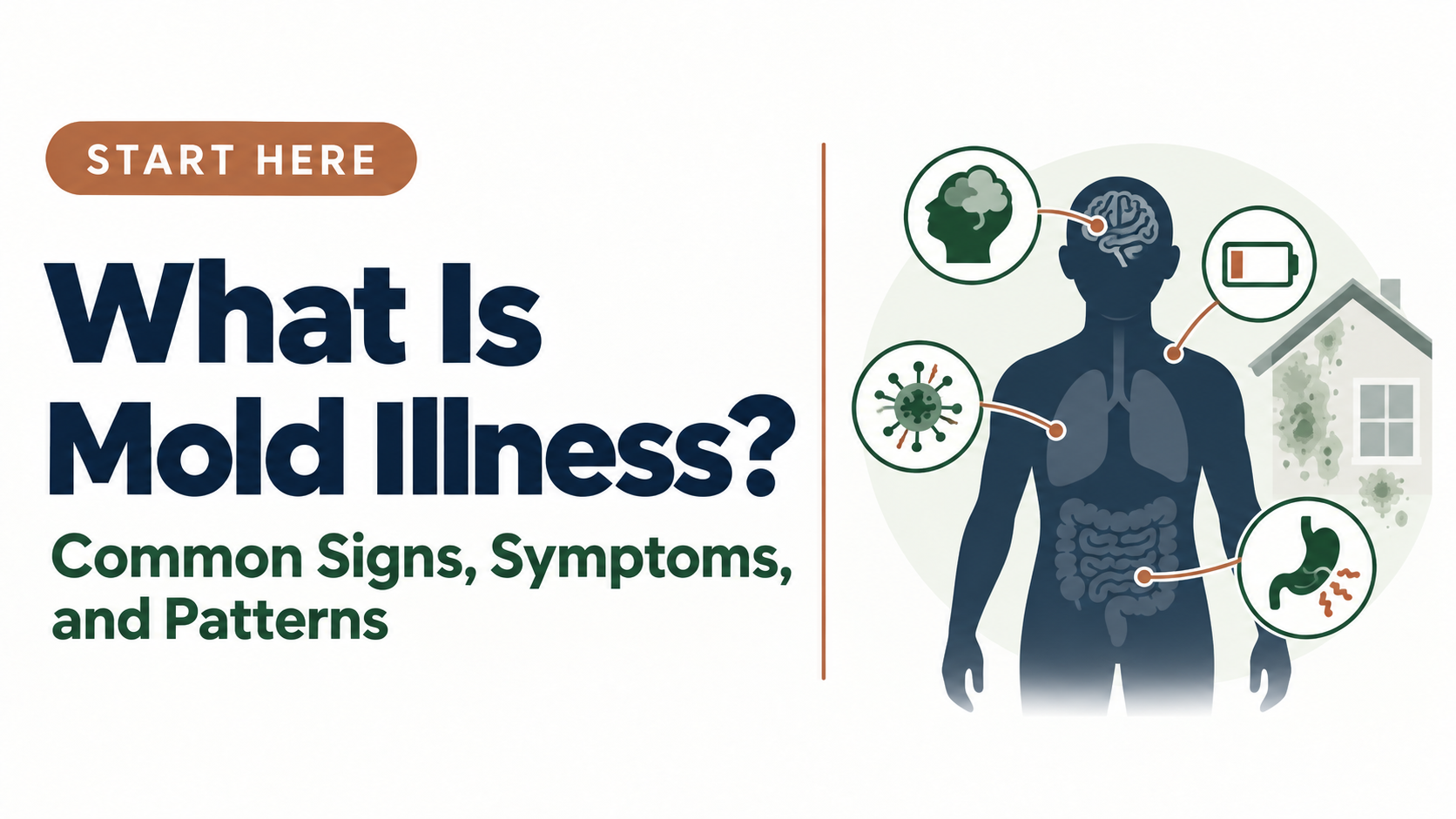 Illustration of common mold illness symptoms affecting several body systems