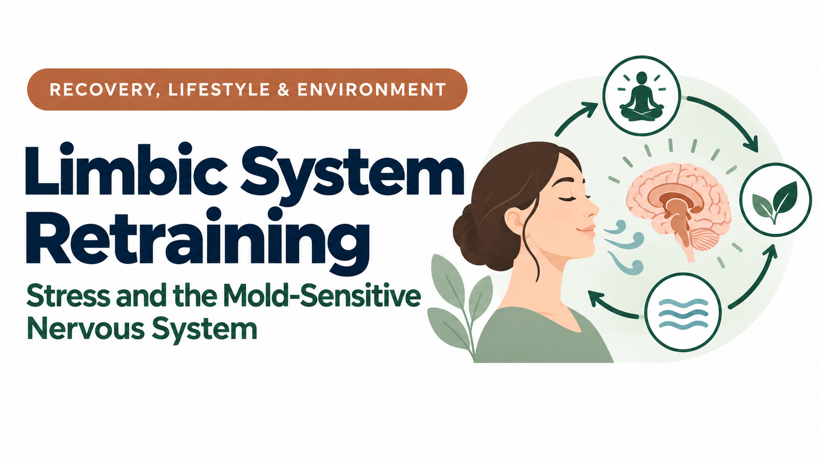 Illustration of calming an overactive limbic system and nervous system