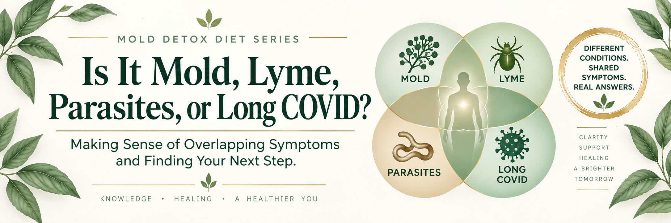 Is It Mold, Lyme, Parasites, or Long COVID? Book title beside overlapping circles representing mold, Lyme, parasites, and Long COVID