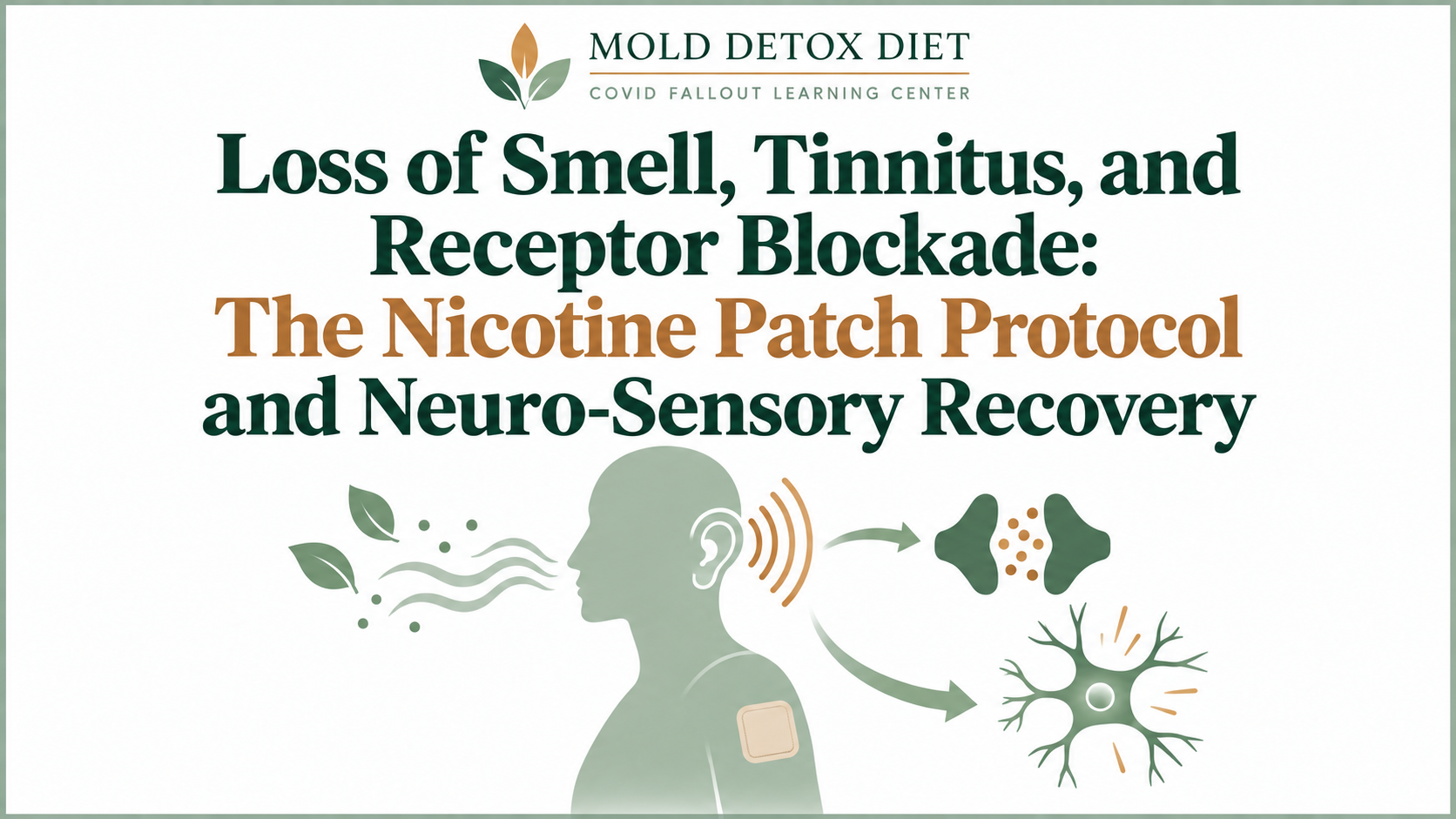 Illustration for the article on loss of smell, tinnitus, and the nicotine patch protocol after COVID