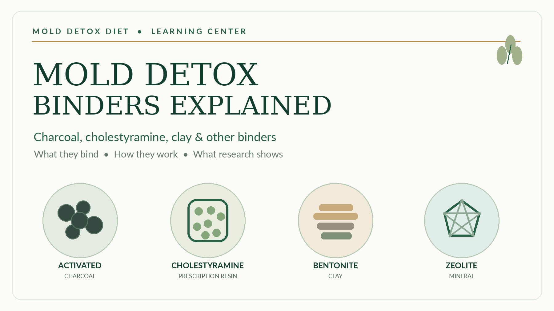 Mold Detox Binders Explained: charcoal, cholestyramine, clay, and which mycotoxins they bind