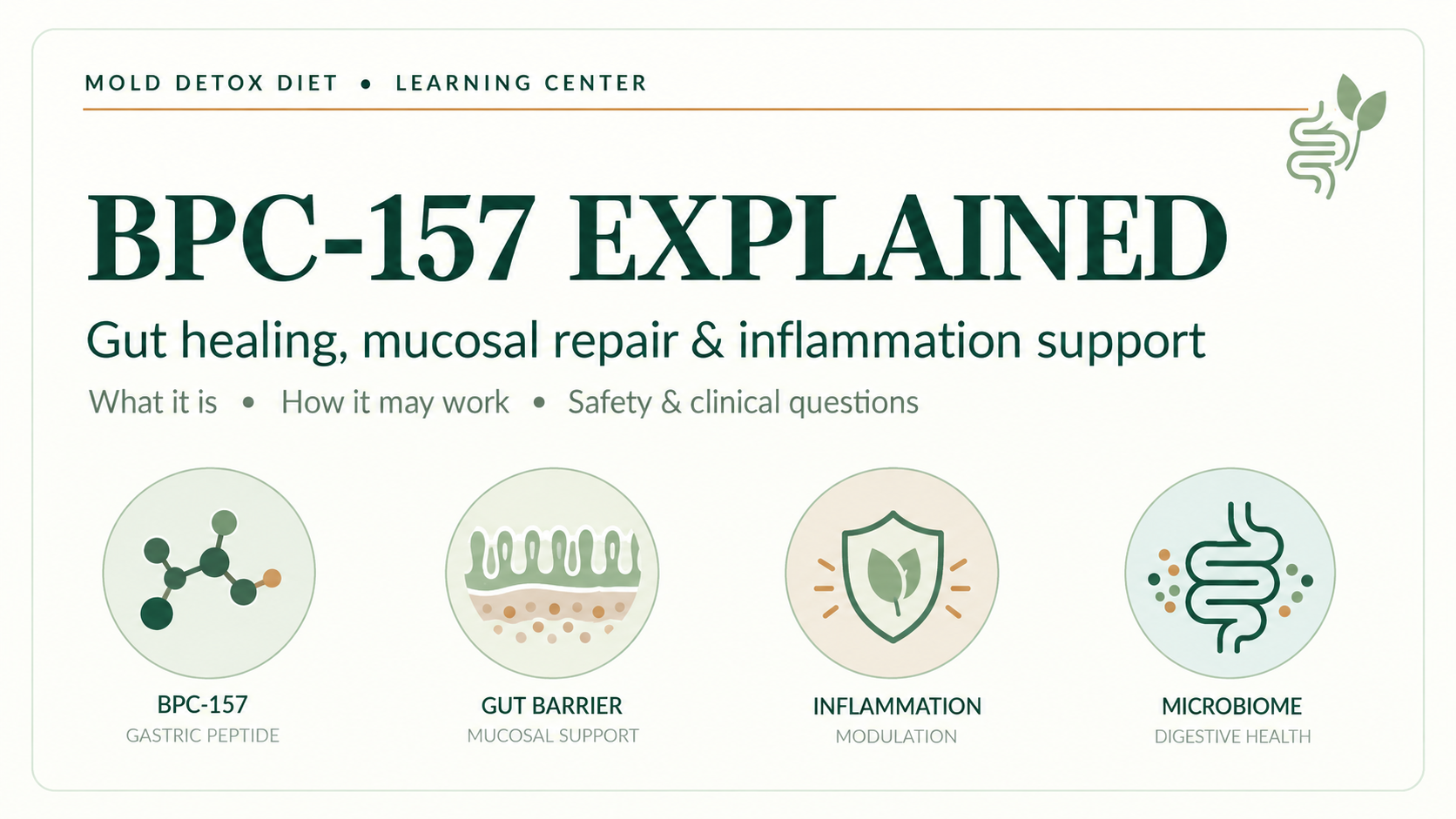 BPC-157 and Gut Healing: What the Research Really Shows