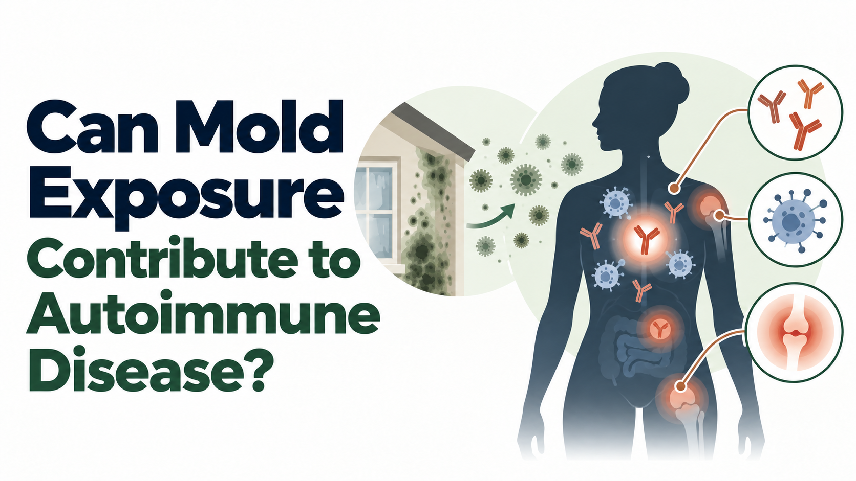 Illustration of possible links between mold exposure and autoimmune disease