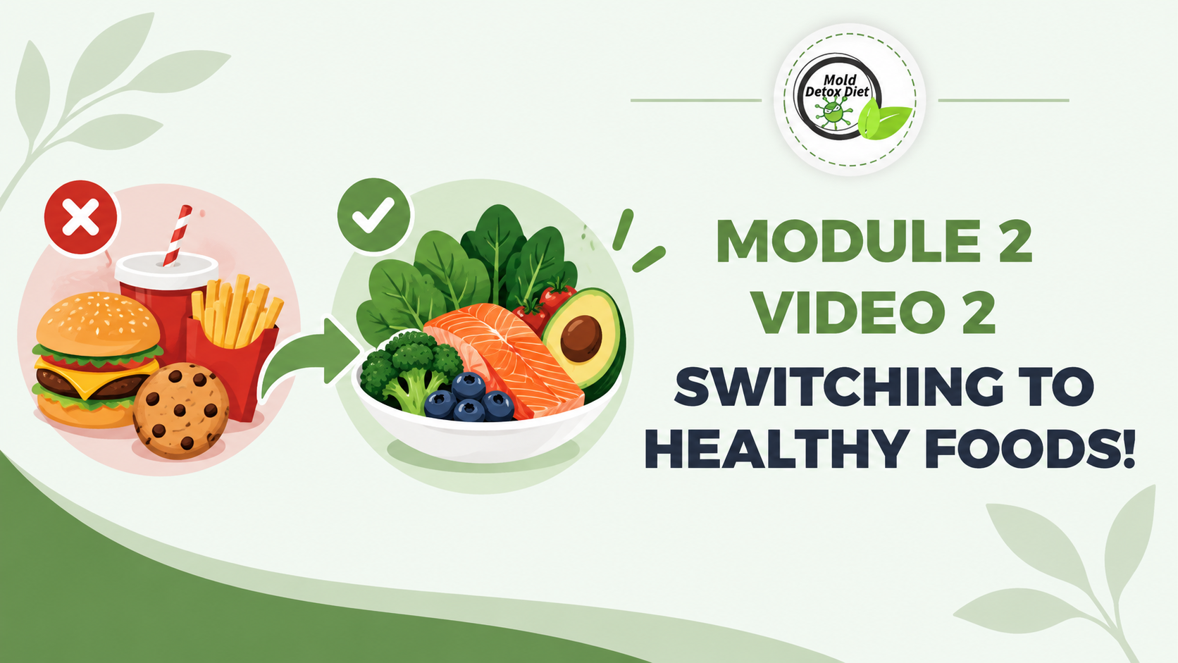 Video thumbnail: Module 2, Video 2 — Switching to Healthy Foods