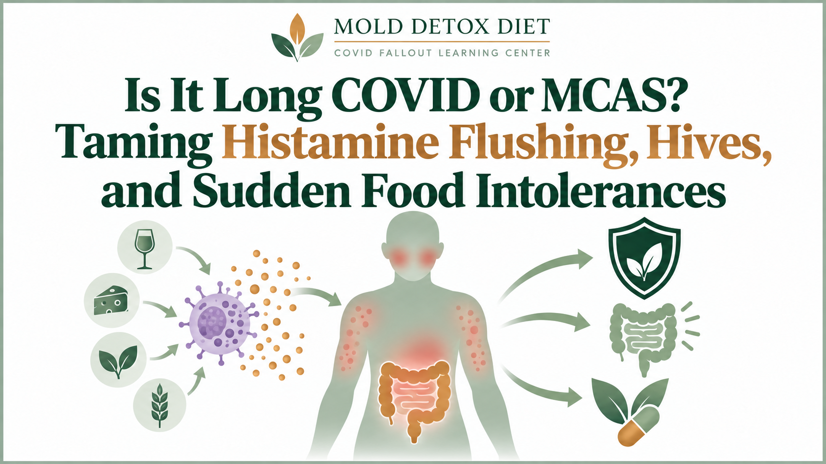 Illustration for the article on Long COVID, mast cell activation (MCAS), histamine flushing, and hives