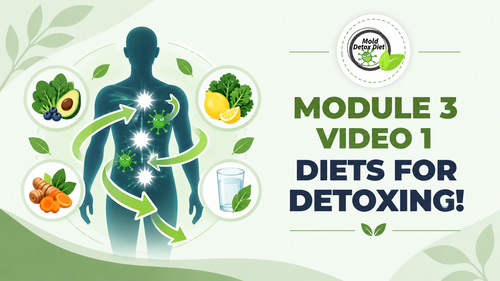 Video thumbnail: Module 3, Video 1 — Diets for Detoxing