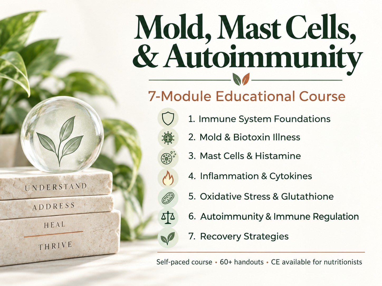 Mold, Mast Cells, & Autoimmunity course graphic showing the seven course modules