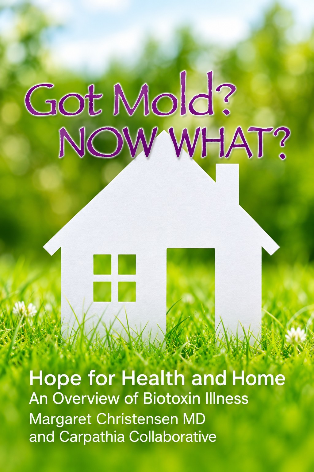 Cover of Got Mold? Now What? Hope for Health and Home by Dr. Margaret Christensen