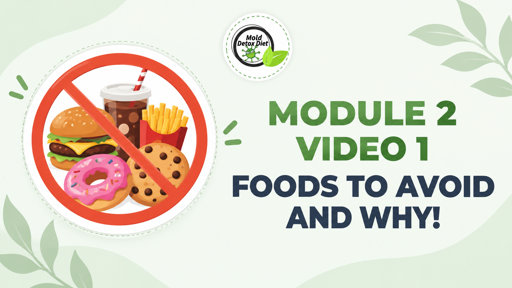 Video thumbnail: Module 2, Video 1 — Foods to Avoid and Why