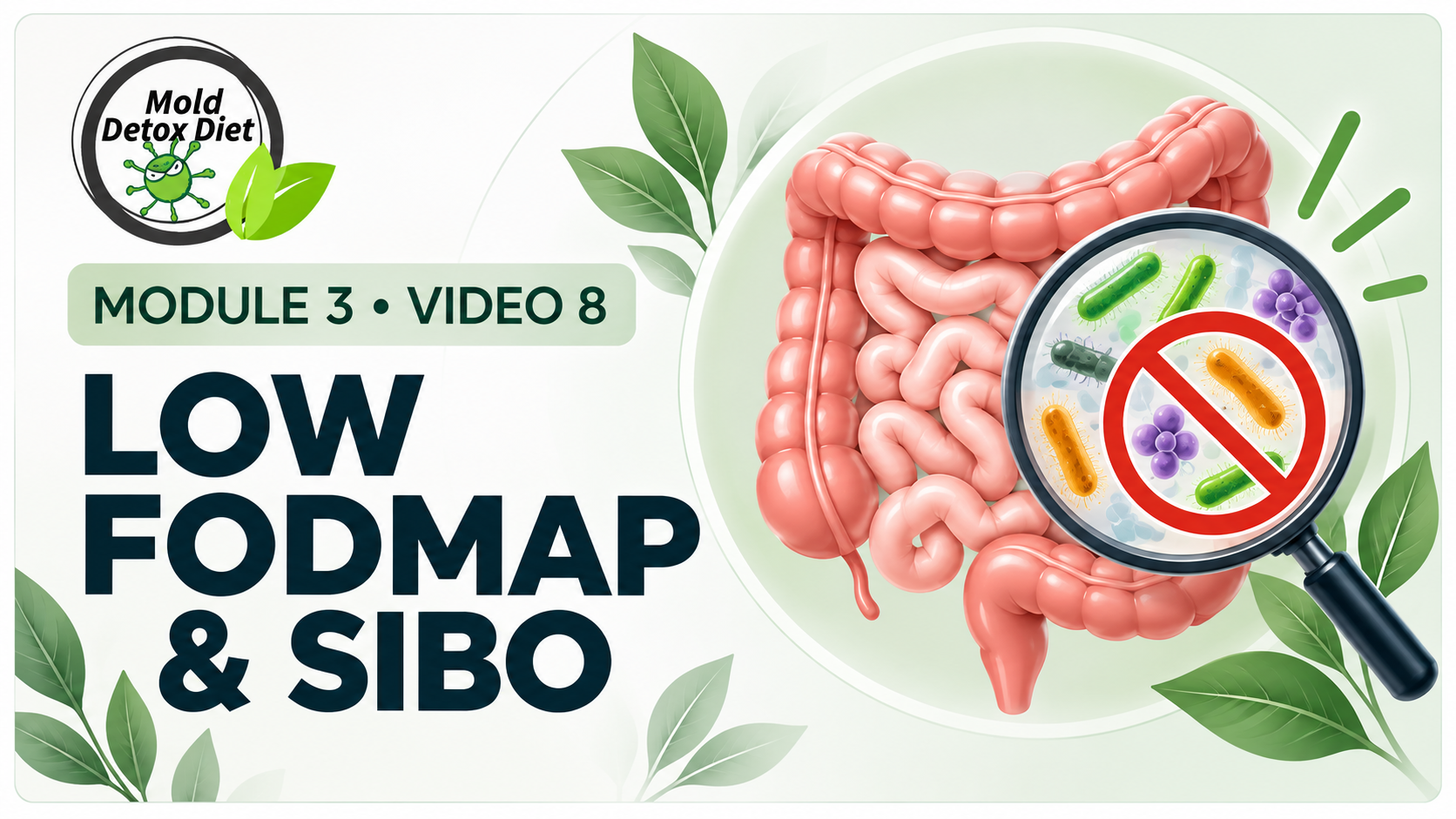 Video thumbnail: Module 3, Video 8 — Low FODMAP and SIBO