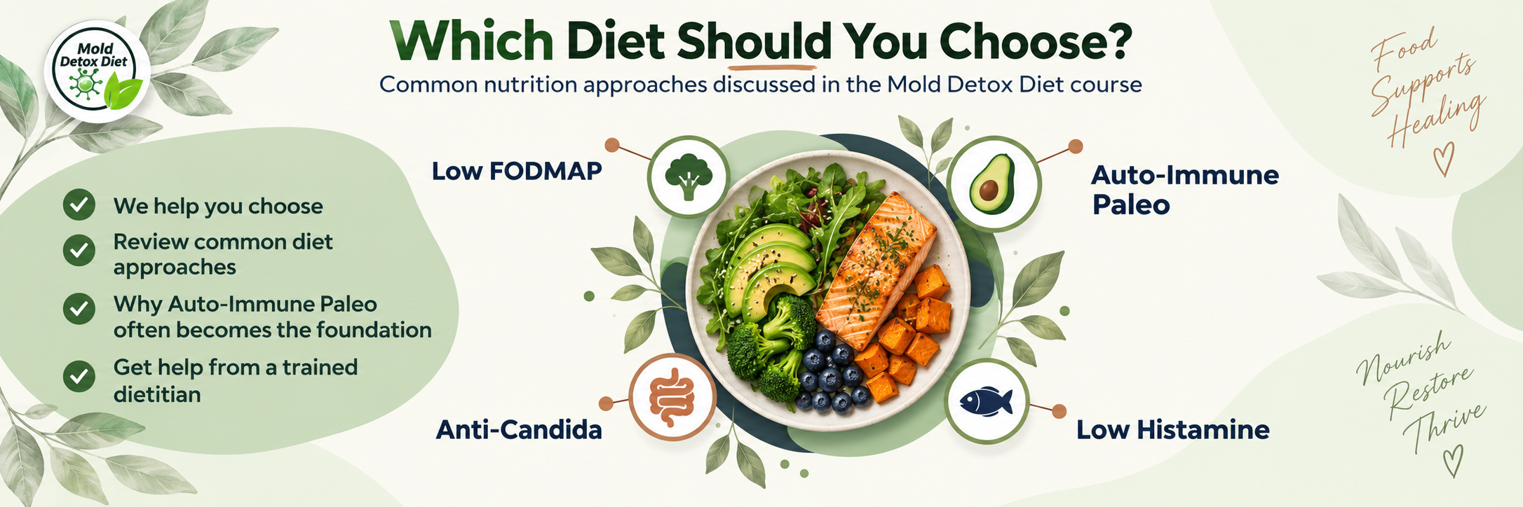 Mold Detox Diet educational illustration comparing Autoimmune Paleo, Low FODMAP, Anti-Candida, and Low Histamine dietary approaches.