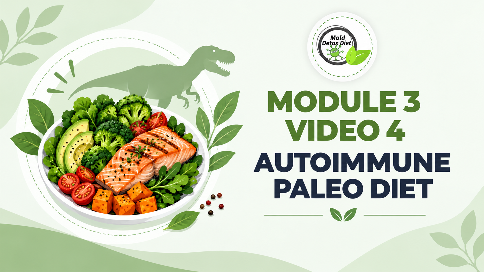 Video thumbnail: Module 3, Video 4 — Autoimmune Paleo Diet