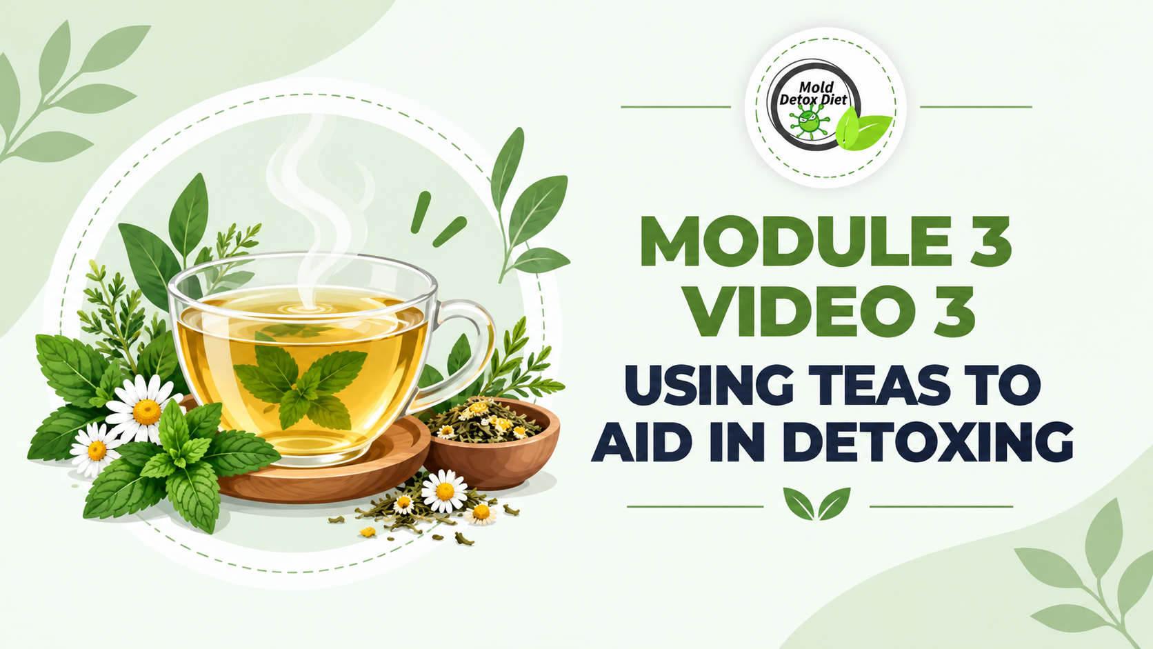Video thumbnail: Module 3, Video 3 — Using Teas to Aid in Detoxing